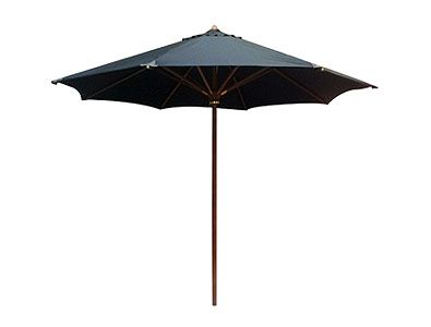 Paraplu zwart 300